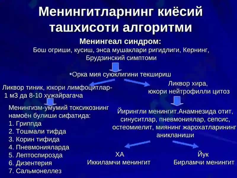 Менингит 5