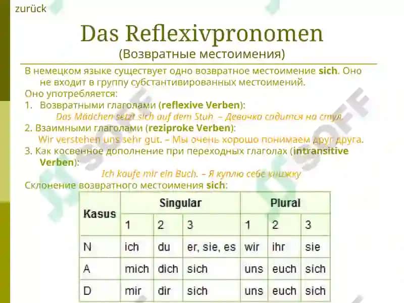 Das Pronomen 5