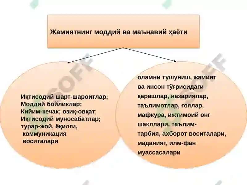 Жамият 5