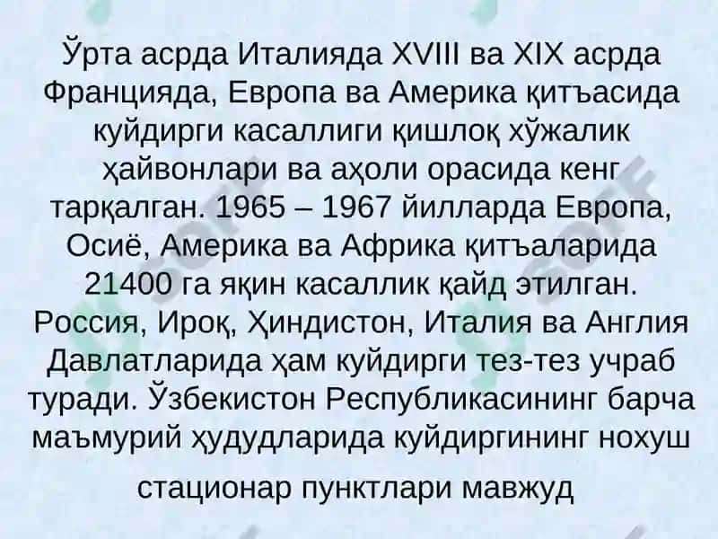 Kuydirgi (Anthrax) 5