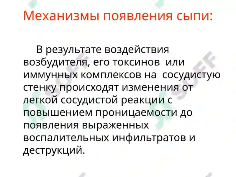 Инфекционные экзантемы 5