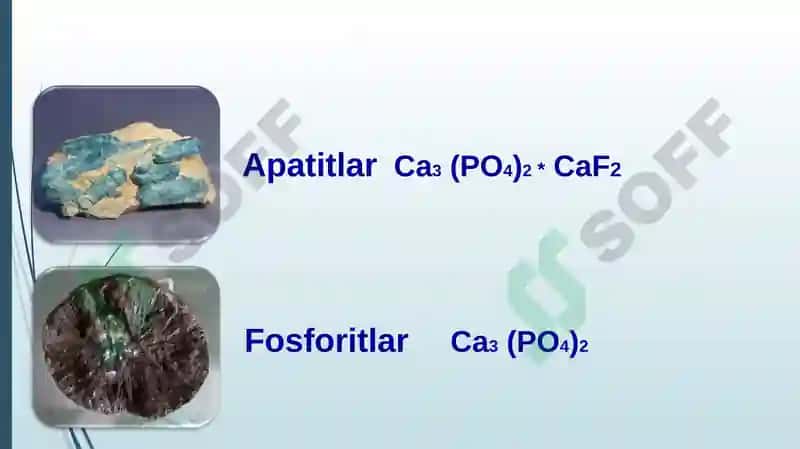 Fosfor 6