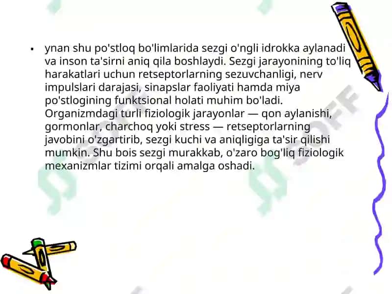 Sezgi 6
