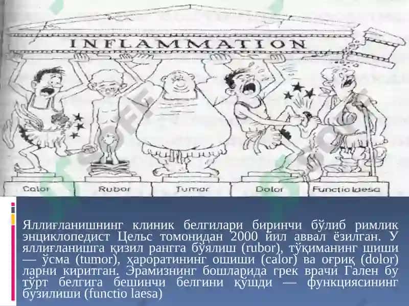 Яллиғланиш 6