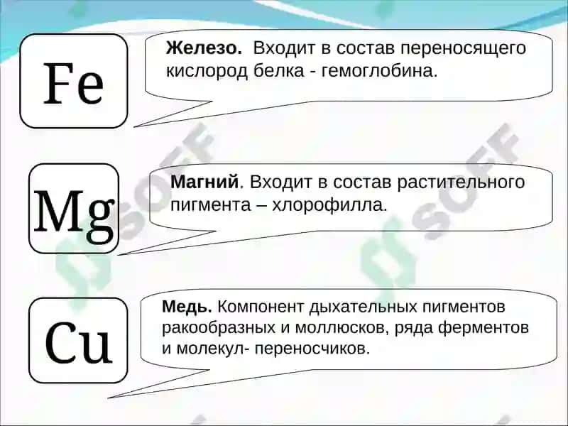 Химические элементы клетки 6