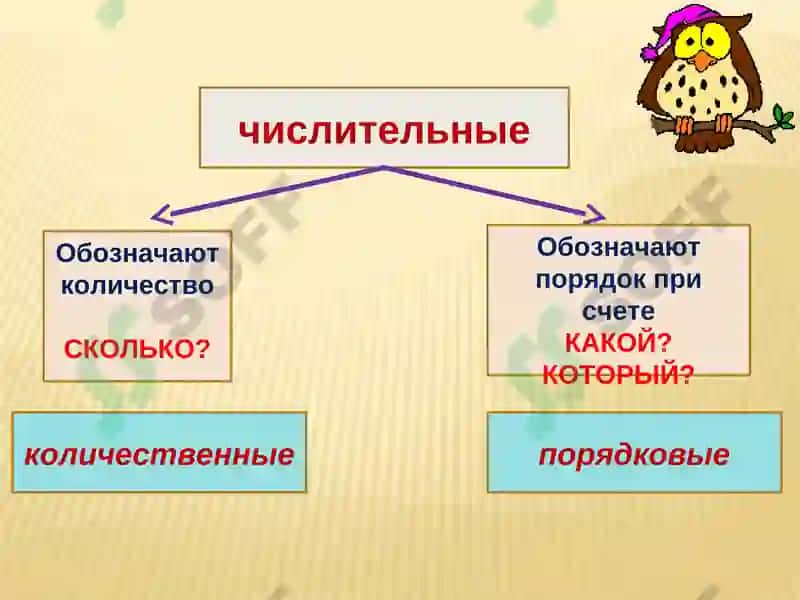 Числительные 6