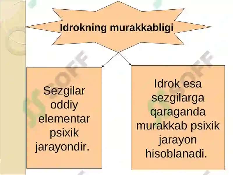 Idrok 6