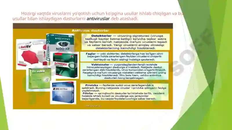 Virus va uning turlari 6