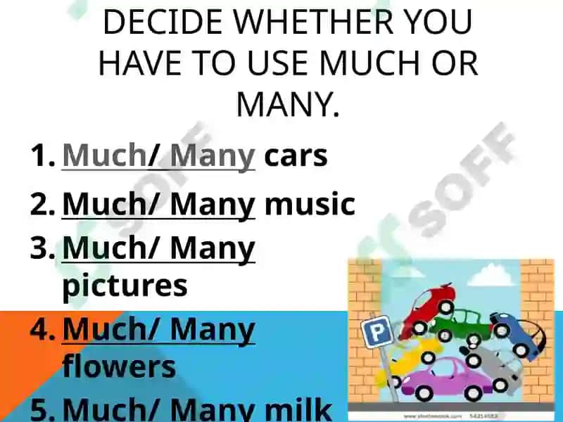 How much? and how many? 6