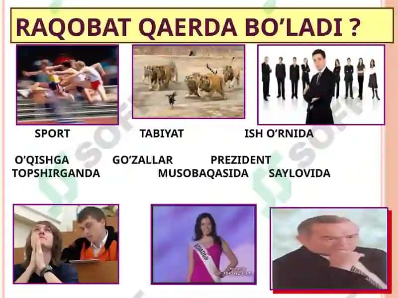 RAQOBAT 6