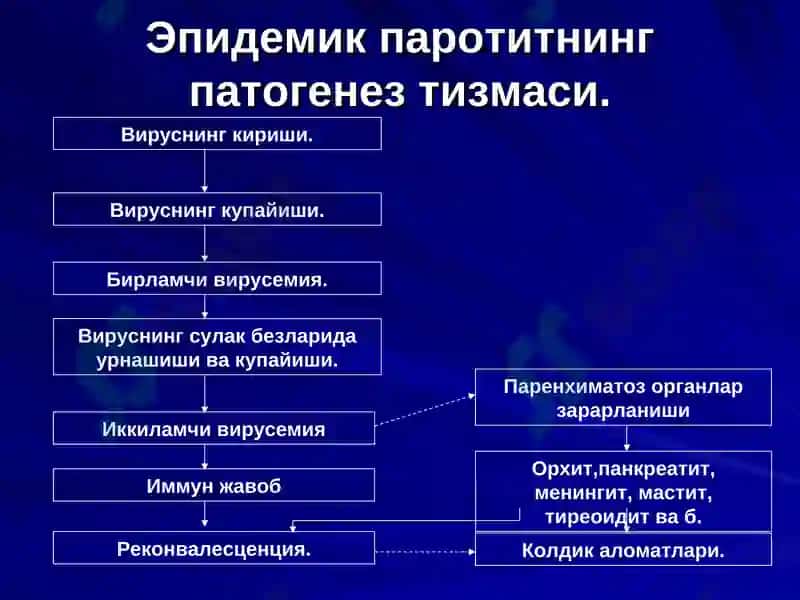 EPIDEMIK PАROTIT 7