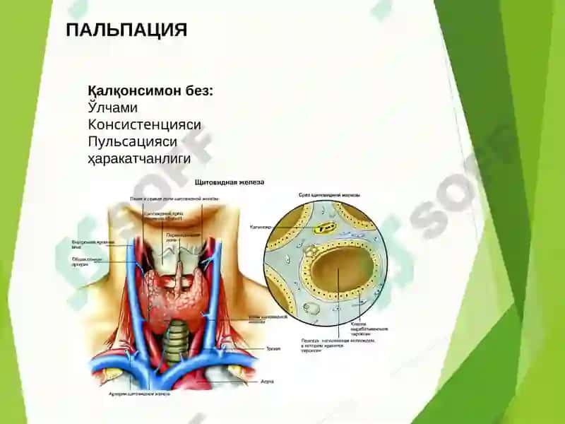 СЎРАБ СУРИШТИРИШ 7