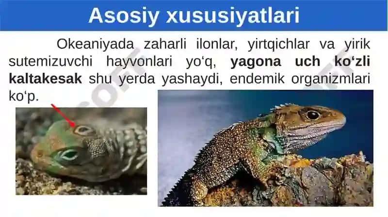 Geografiya 7