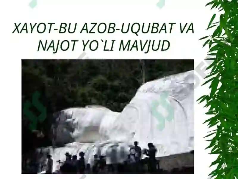 Buddizm 7