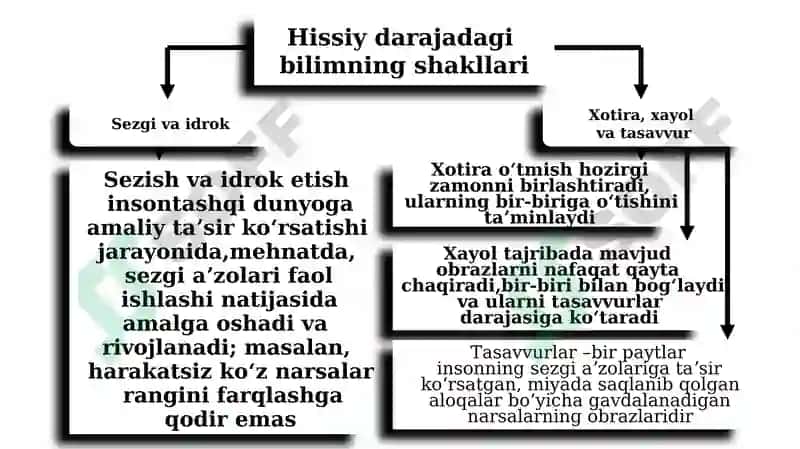 Bilish falsafasi (gnoseologiya) 7