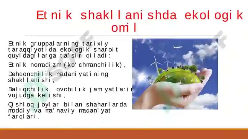 ODAM-EKOLOGIK OMIL 7