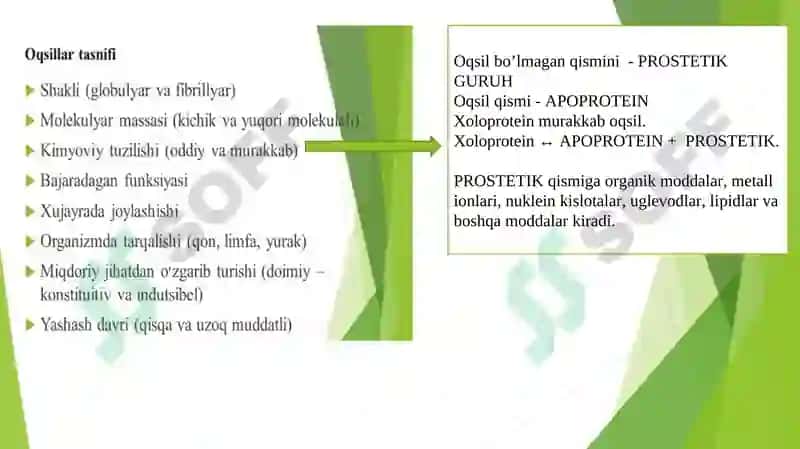 Oqsillarning Kimyoviy Tarkibi 7