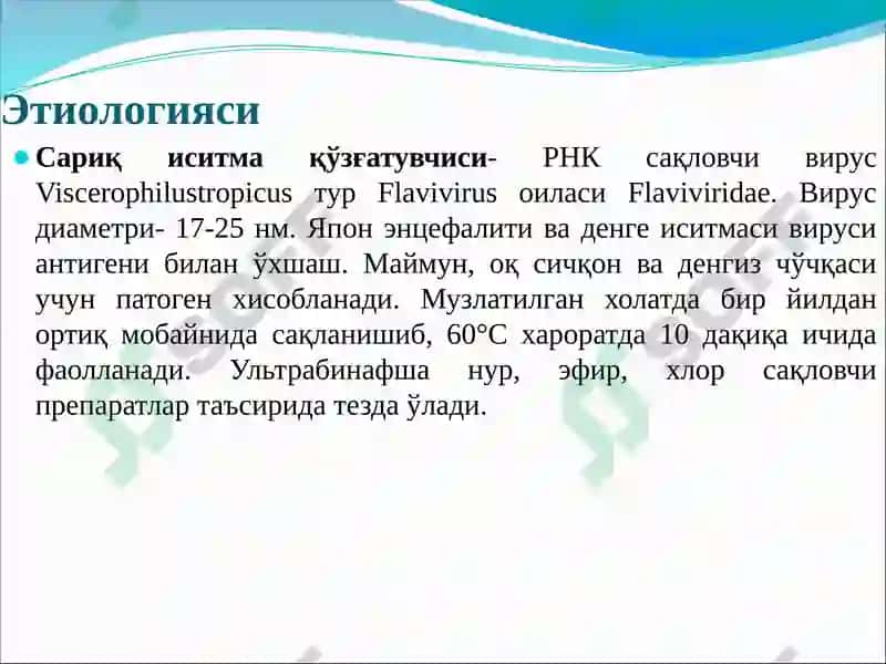 Сариқ иситма 7