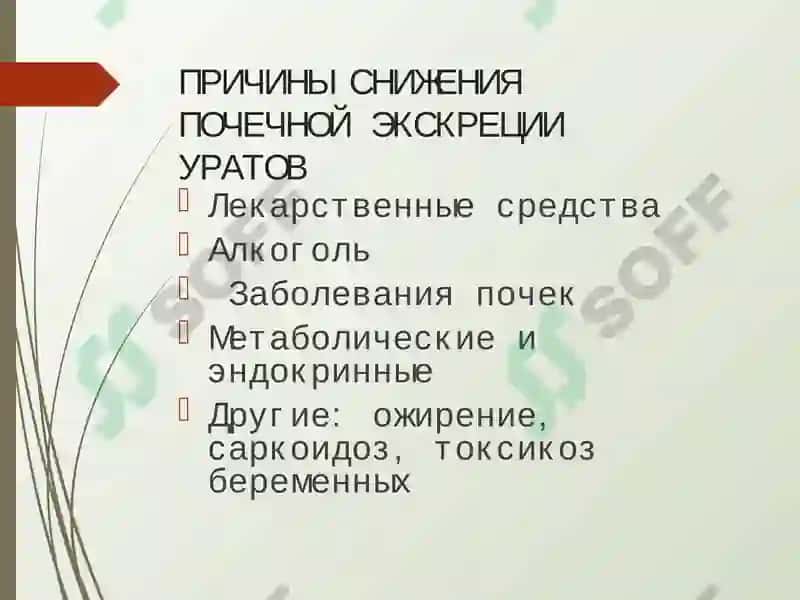 ПОДАГРА 7