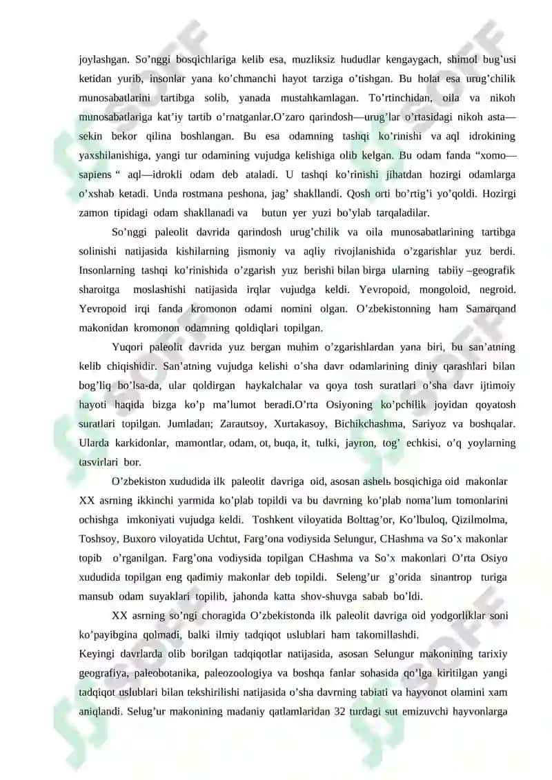Paleolit davri xususiyatlari 7