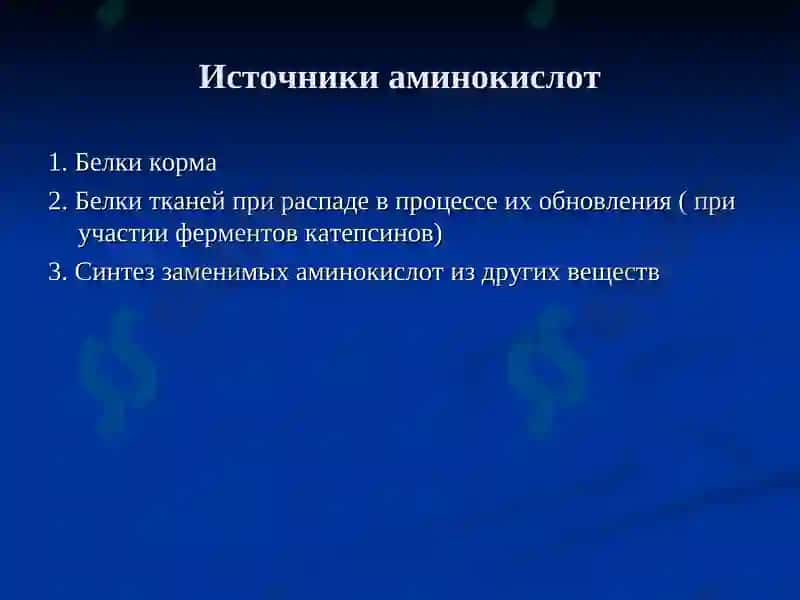 Обмен белков и аминокислот 7