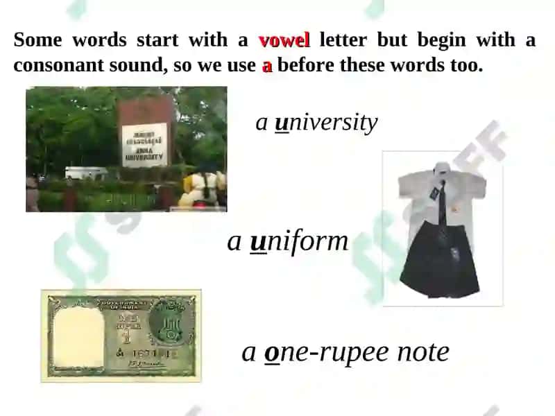 Articles 7