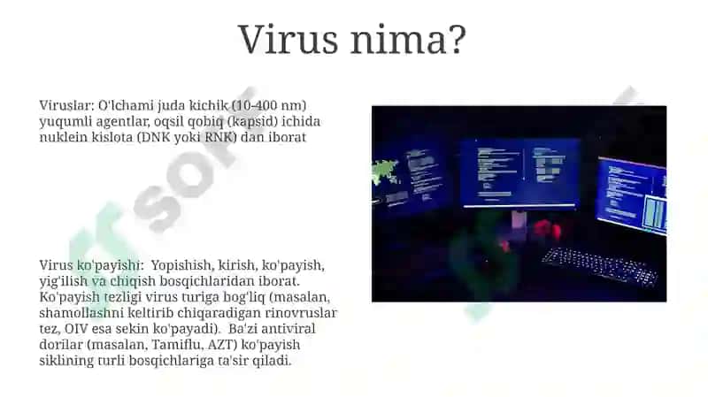 Viruslar va antivirus dasturlari 8