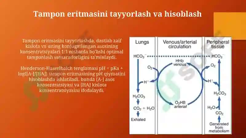 Buffer sistemalar 8