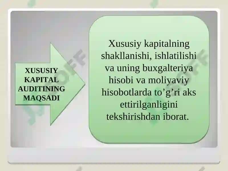 Xususiy Kapital Audit 8