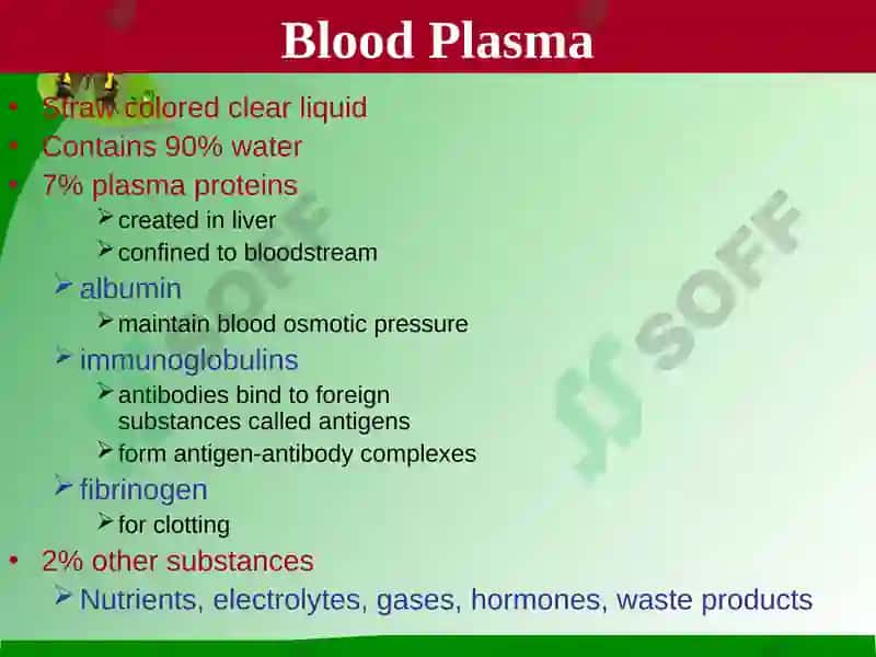 Blood 8