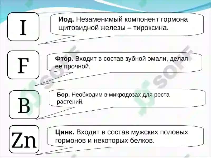 Химические элементы клетки 8