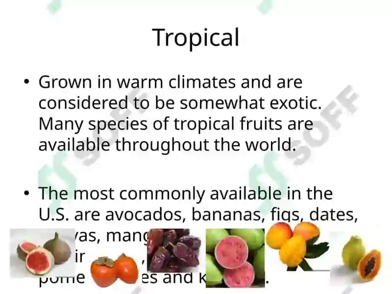 Fruit Classifications 8