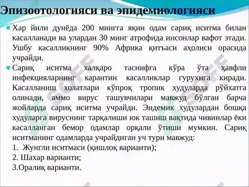 Сариқ иситма 8