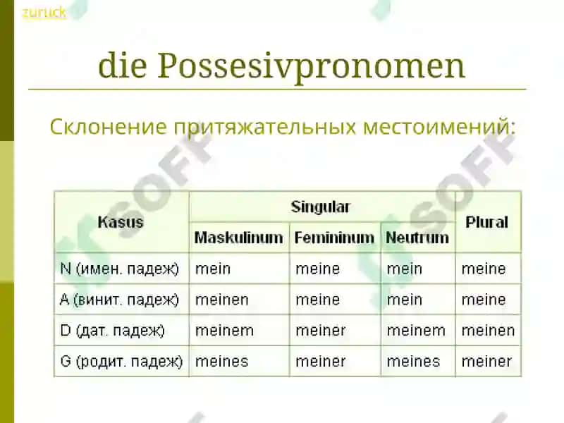 Das Pronomen 8