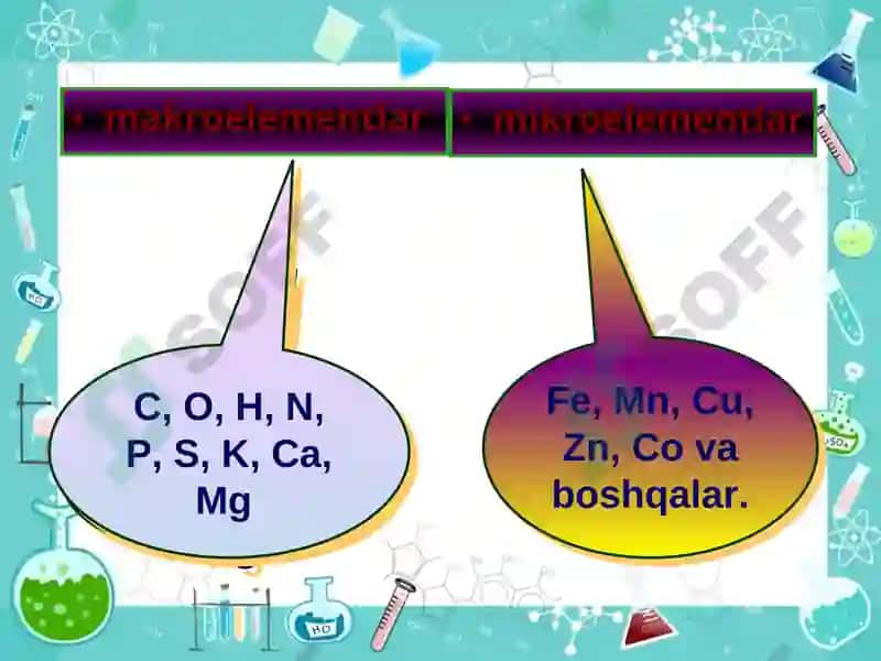 Mineral o'g'itlar ochiq dars 8