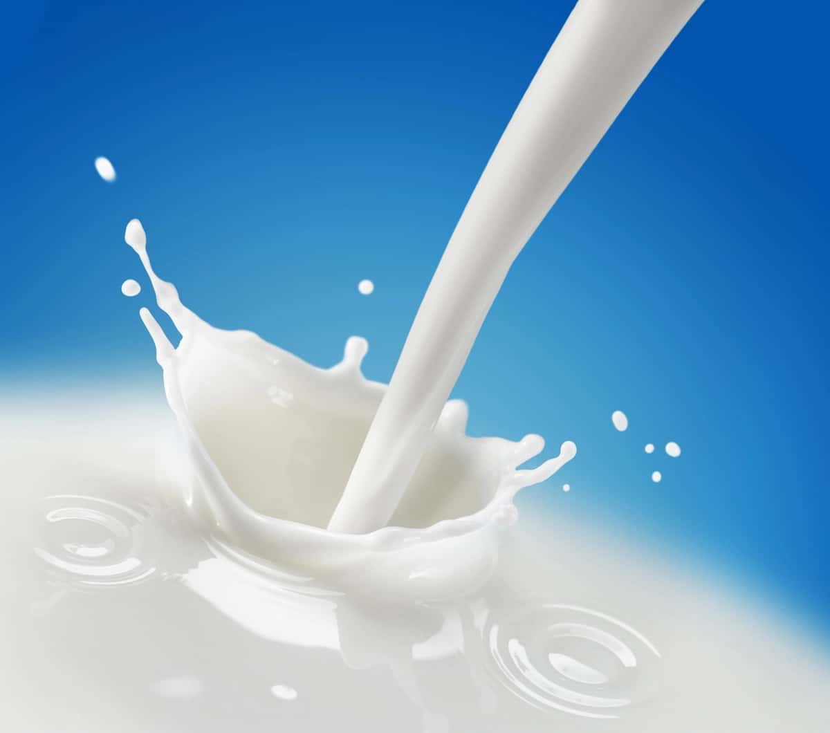 Sutli ko'k fon | Splash milk blue background 1