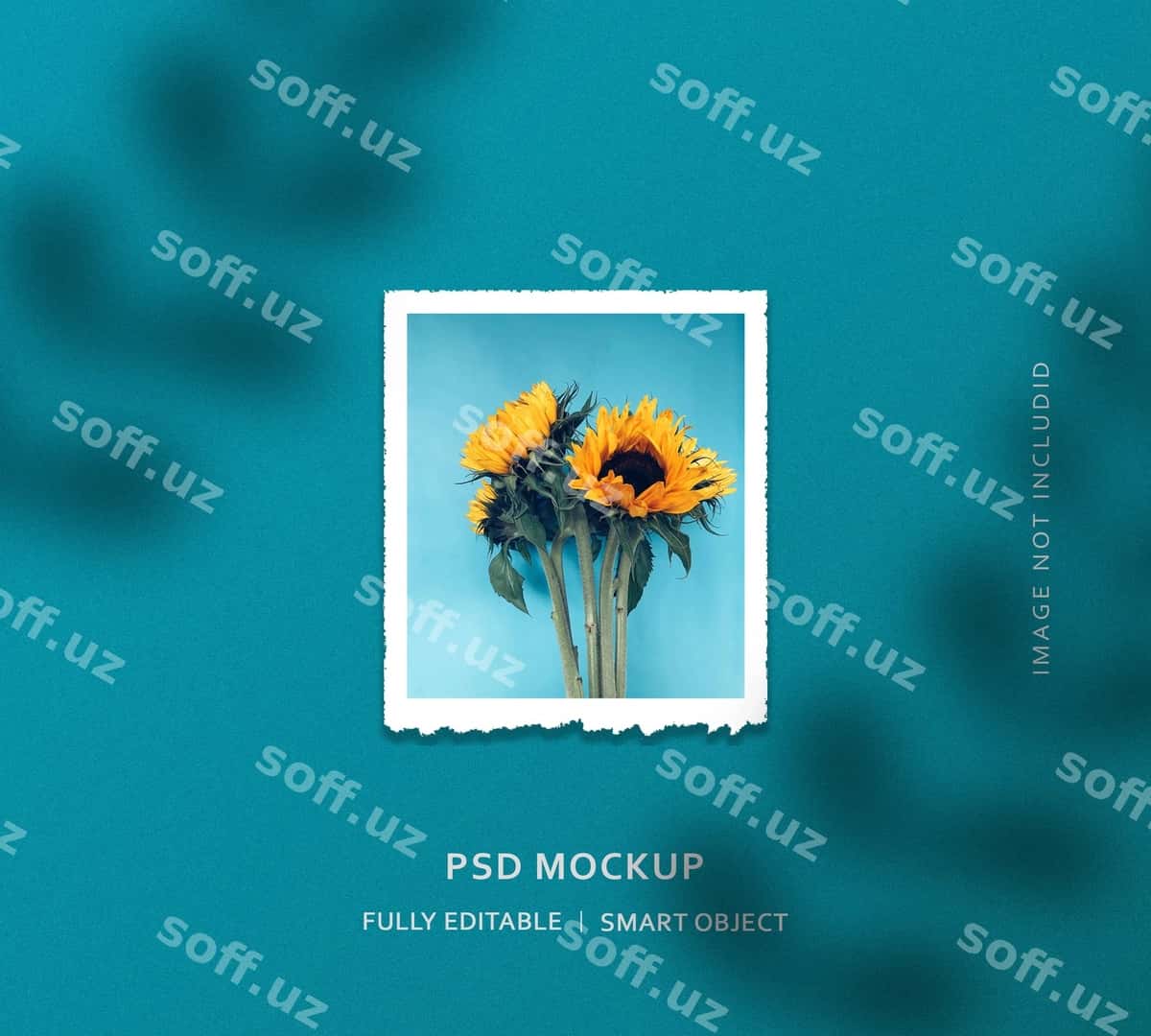 Qizil gul foto ramka namuna dizayni | Sunflower photo frame mockup design 1