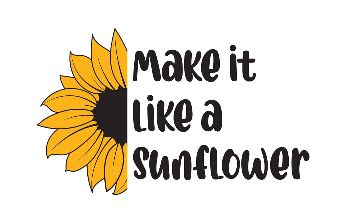 Kungaboqar iqtibosi | Sunflower quote 1