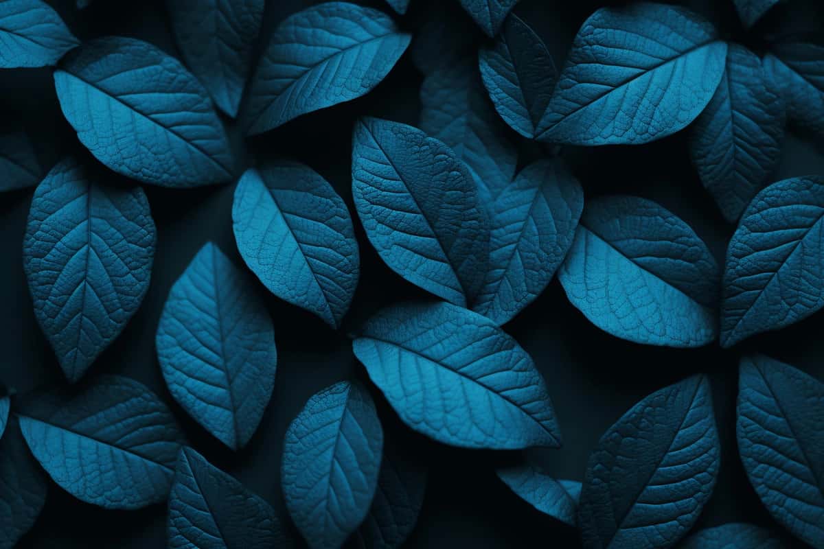 Yuqori ko'rinishdagi ko'k barglar ko'k fon bilan | Top view blue leaves with blue background 1