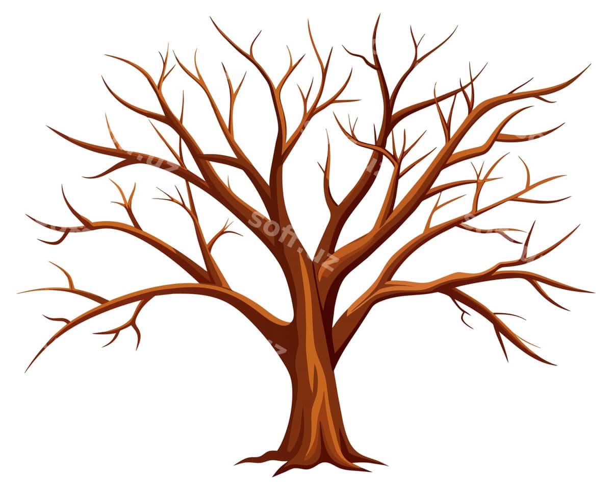Barqatlar yo'q bo'lgan daraxt | Tree with no leaves it 1