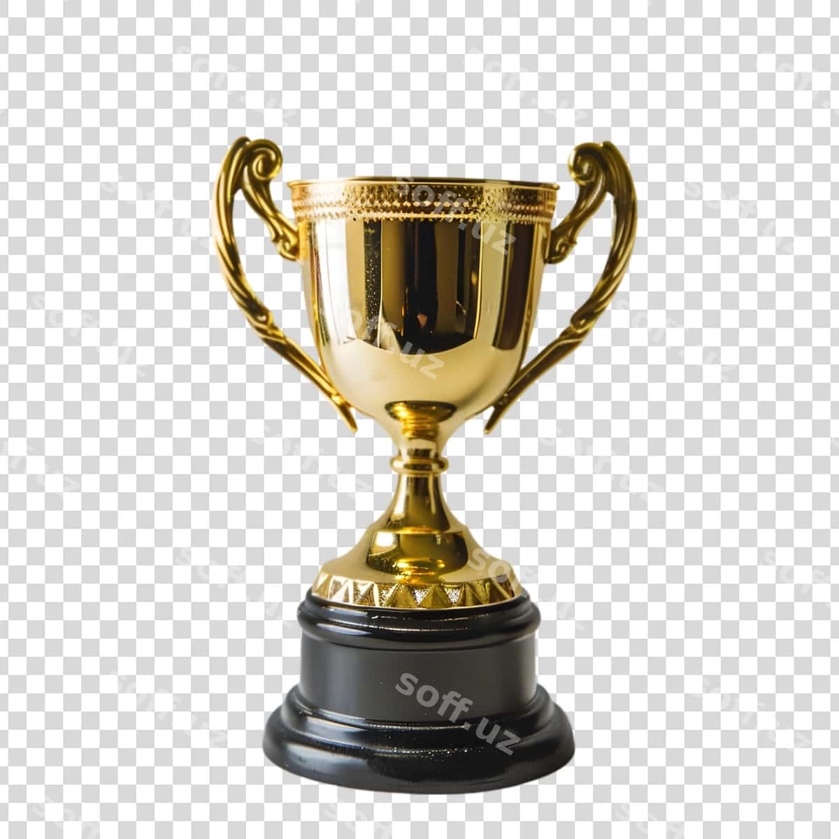 Himoyachilik shaffof fonda ajraltirilgan | Trophy isolated transparent background 1