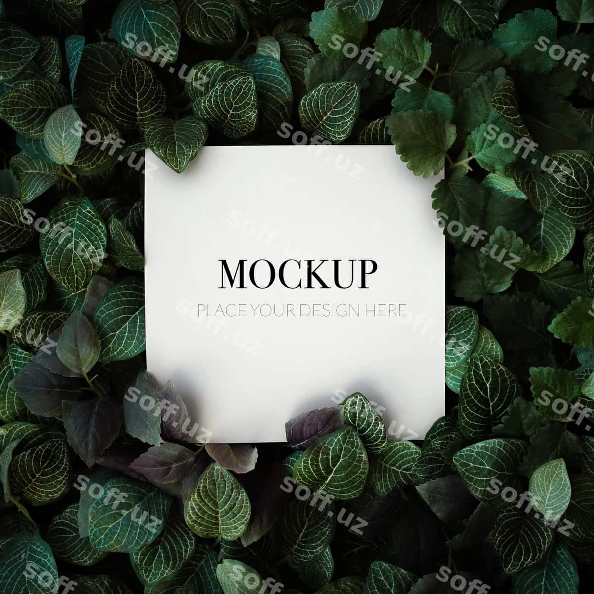 Tropik yaproq orqa fonda | Tropical foliage background 1