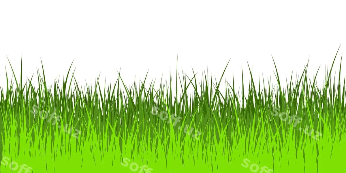Vektor illustratsiyasi yashil o't | Vector illustration green grass 1