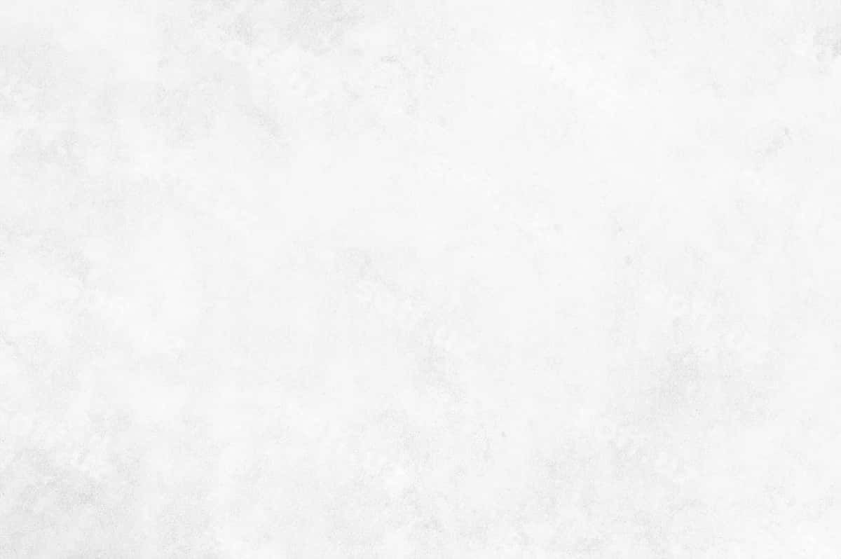 Oq beton devor teksturalari fonalari | White cement wall texture backgrounds 1