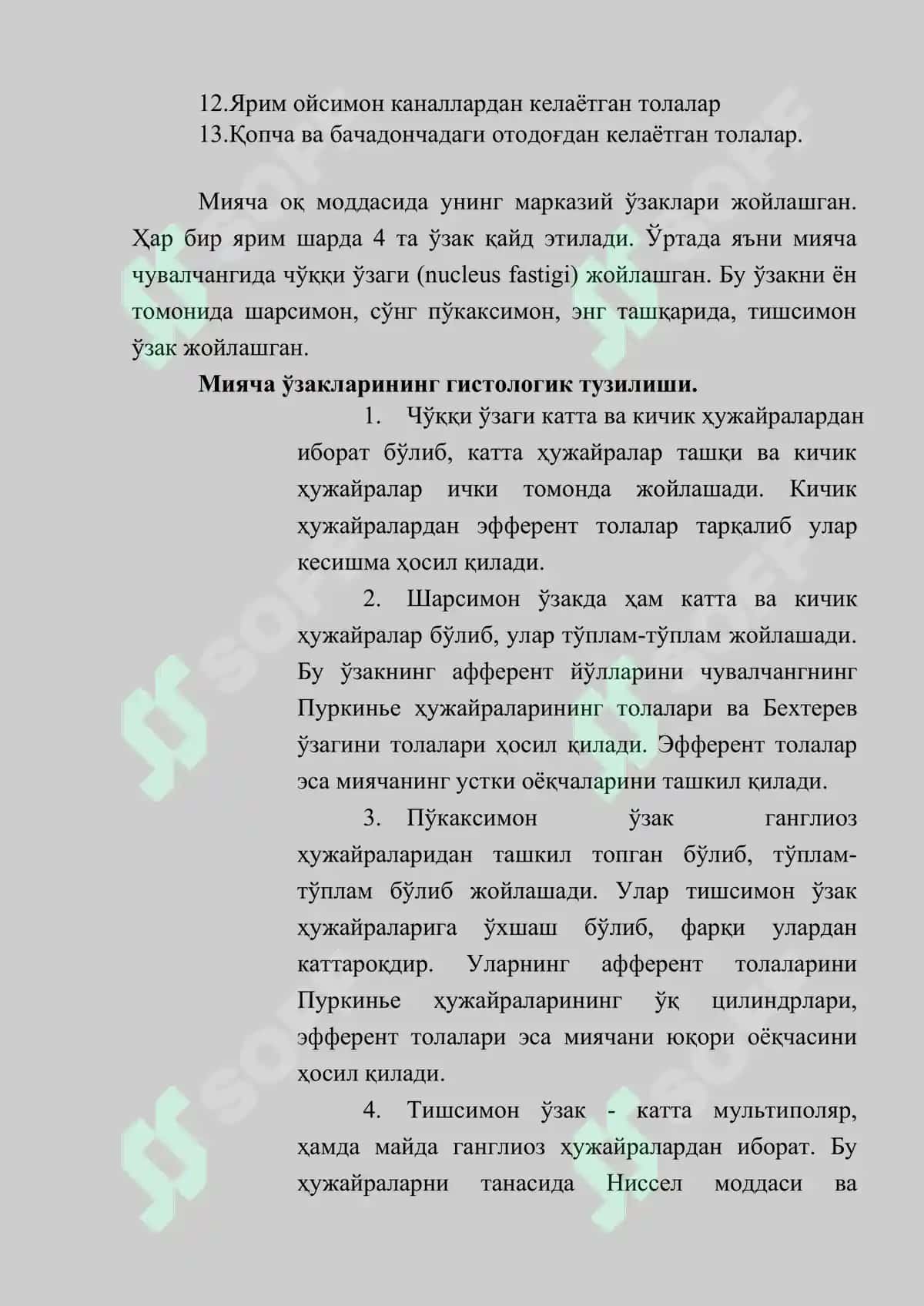 Мияча (Cerebellum): Тузилиши, Вазифаси, Текшириш Усуллари ва Патологияси 5