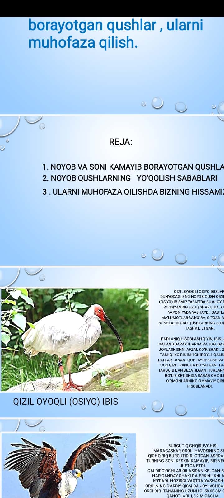 Noyob va soni kamayib borayotgan qushlar , ularni muhofaza qilish.