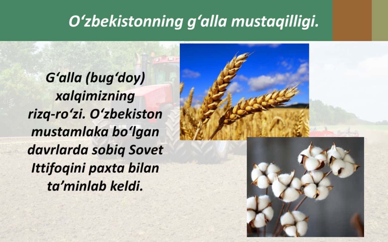 O'zbekiston iqtisodiyotidagi ilk yutuqlar