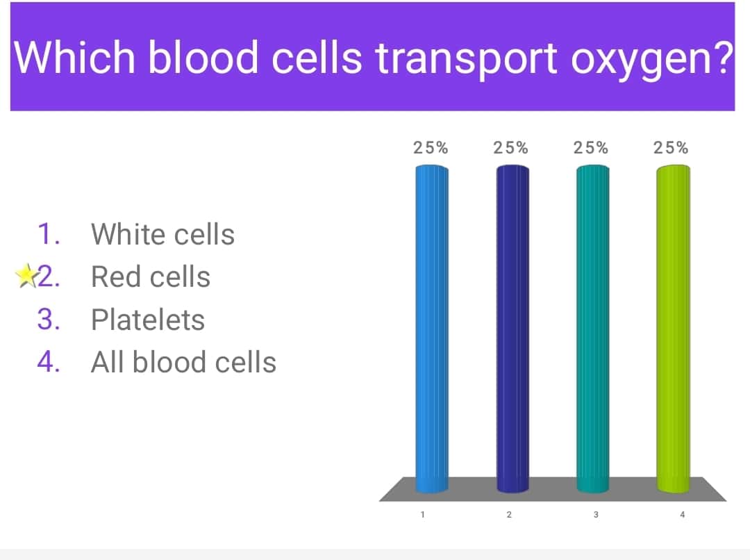 Circulatory system