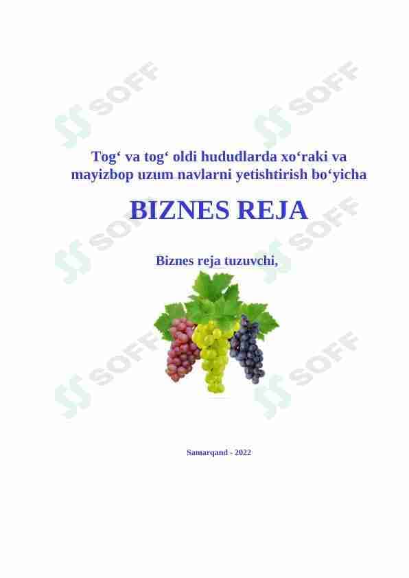 BIZNES REJA