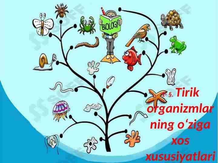 Tirik organizmlarning o‘ziga xos xususiyatlari